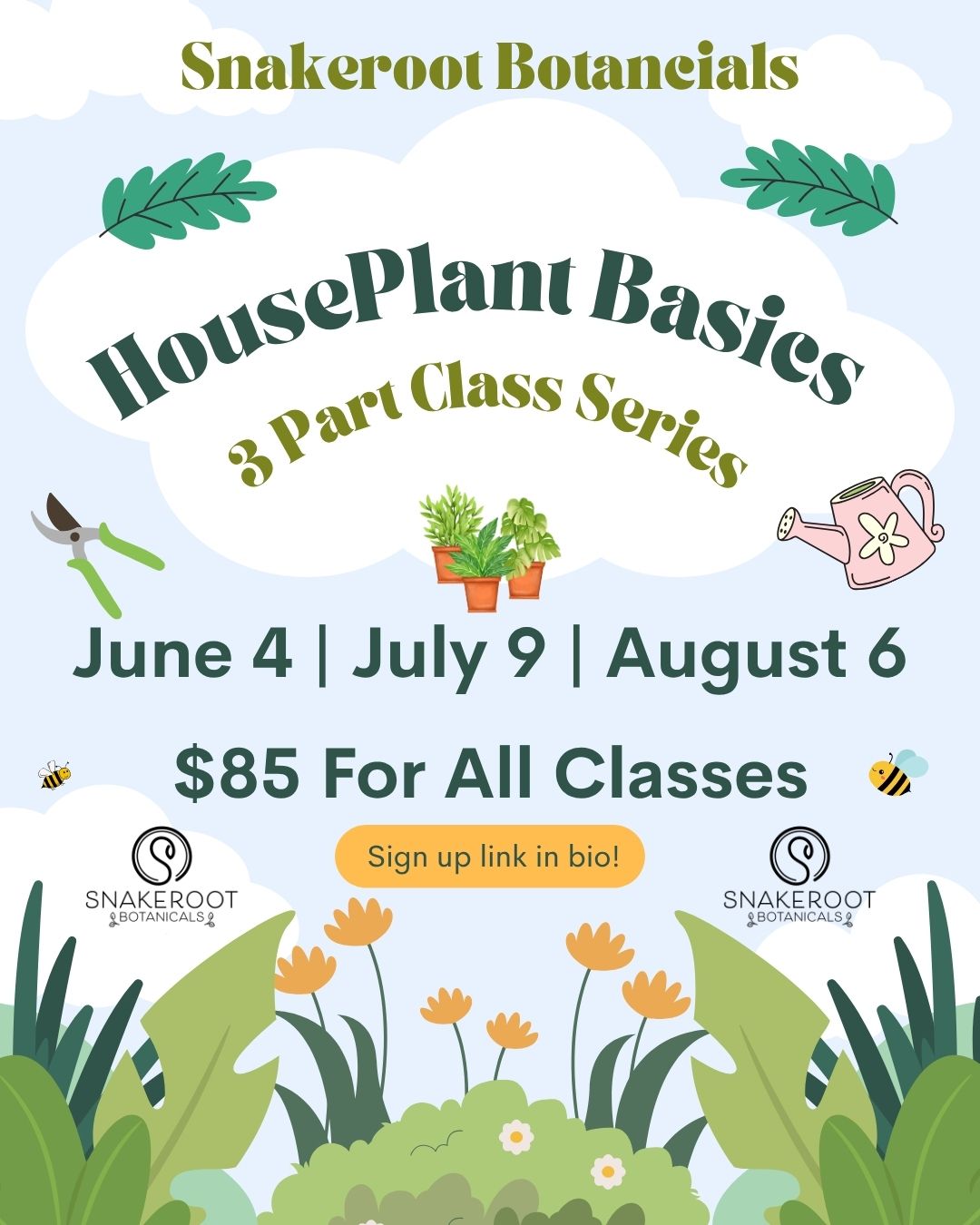 Full Class Series: Houseplant Basics: A 3-Part Plant Care Series