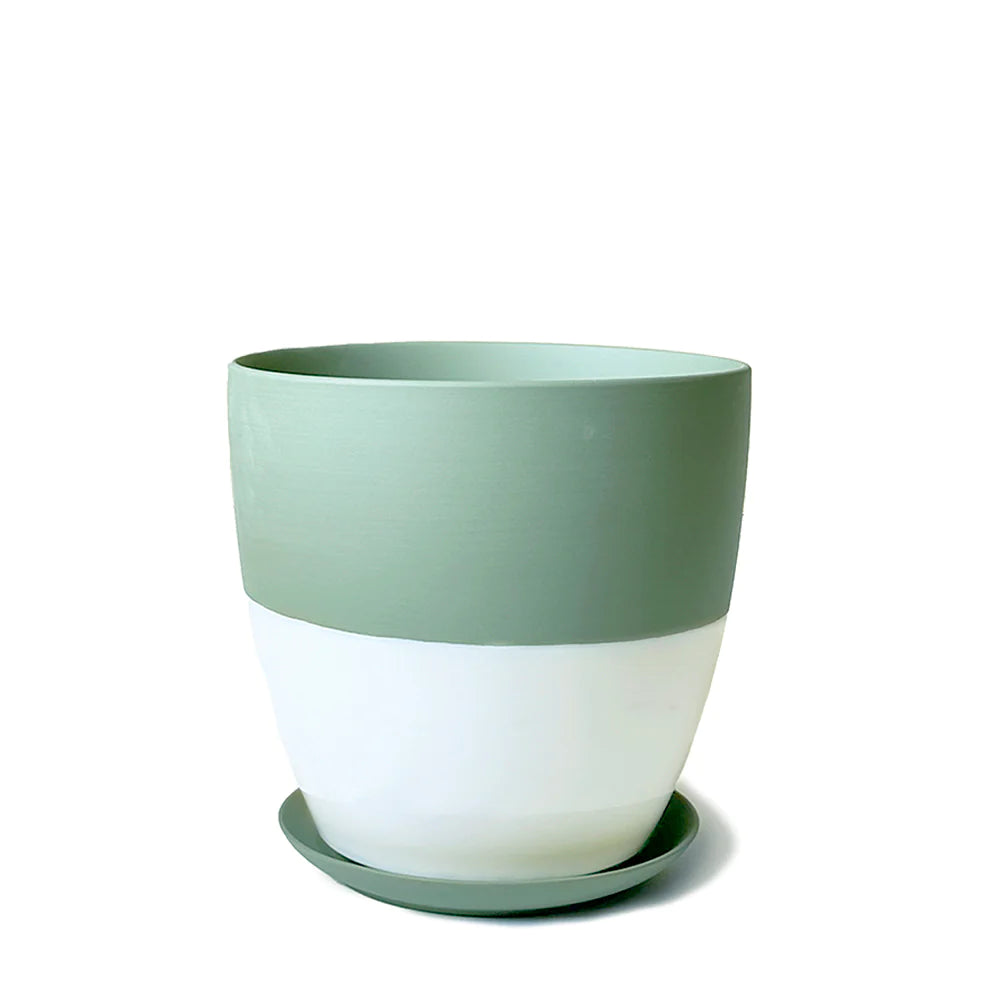 Little Dyad Pot and Saucer