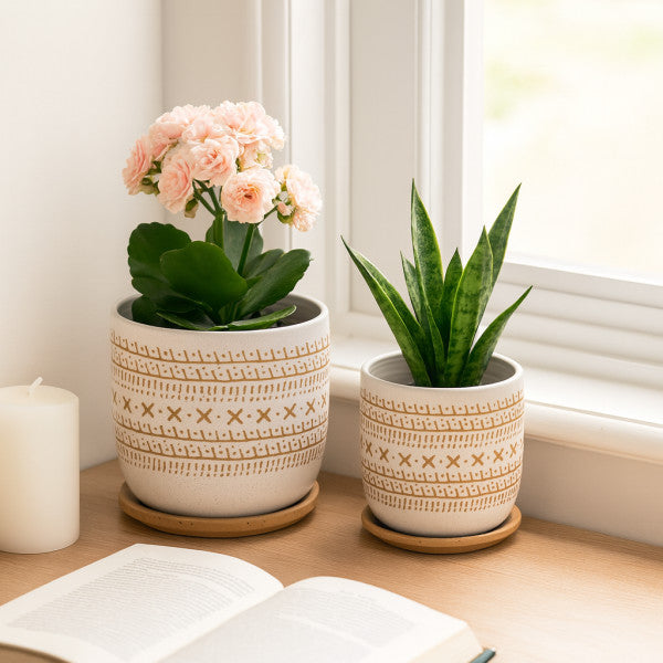 Circular Planter with Saucer