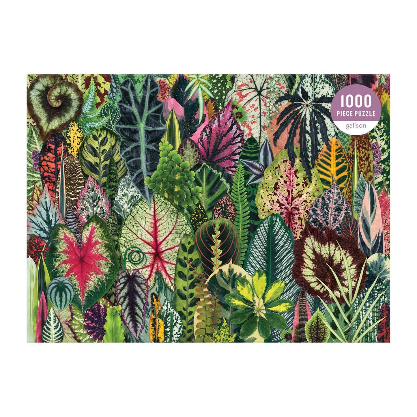 Houseplant Jungle 1000 Piece Puzzle