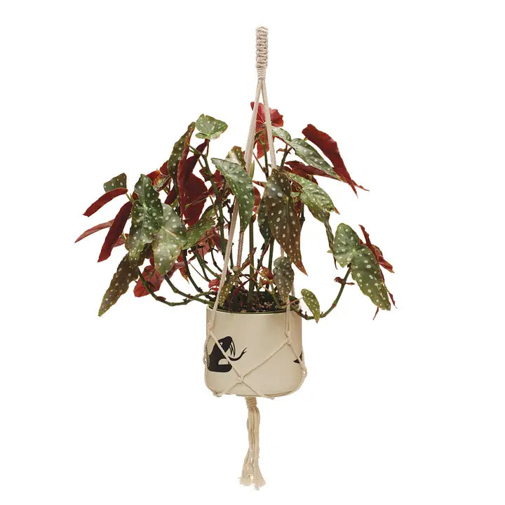 Natural Macrame Plant Hanger 40"