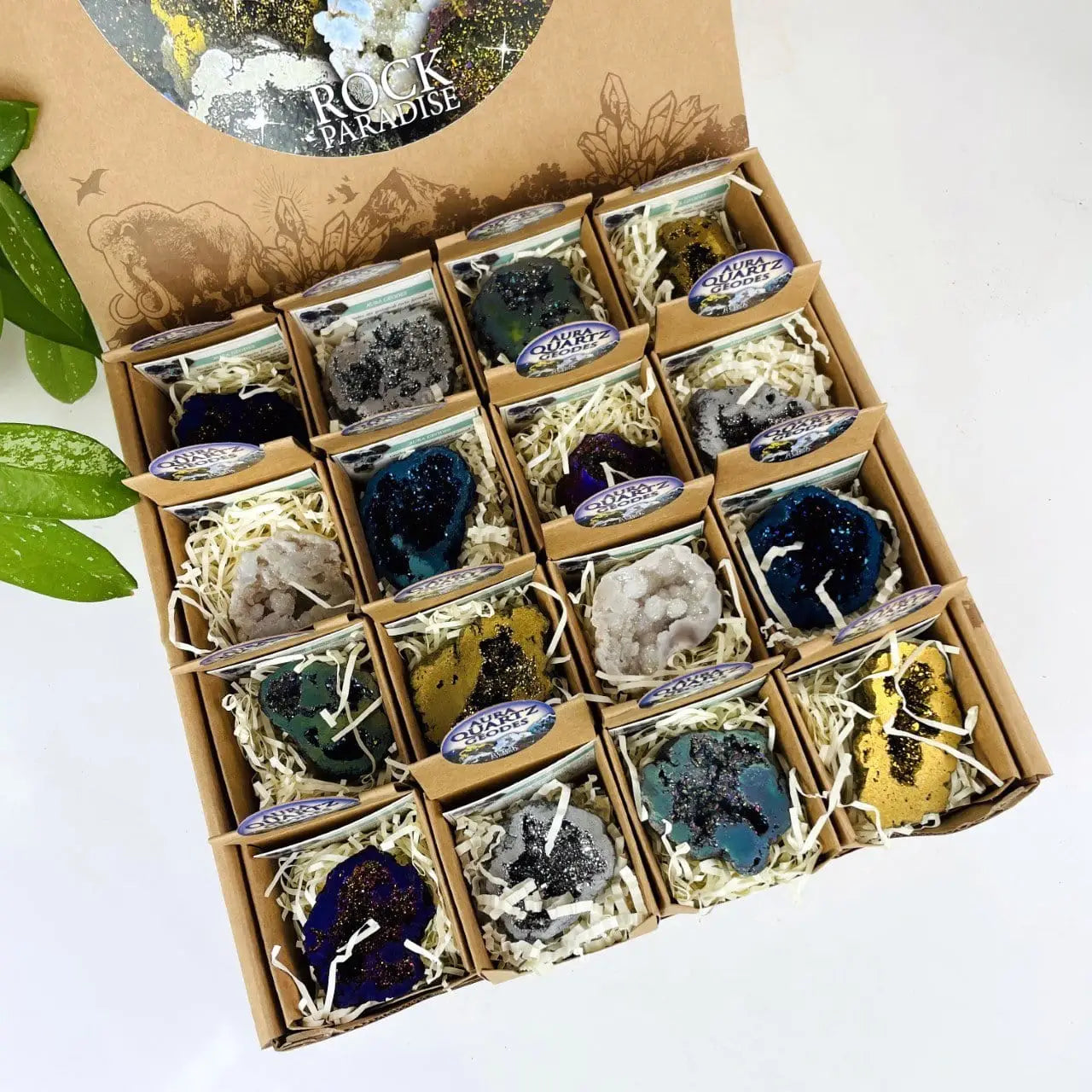 Crystals - Boxed