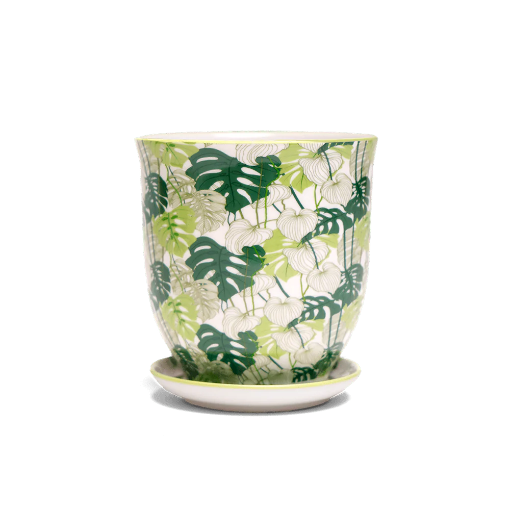 Small Liberte Pot & Saucer