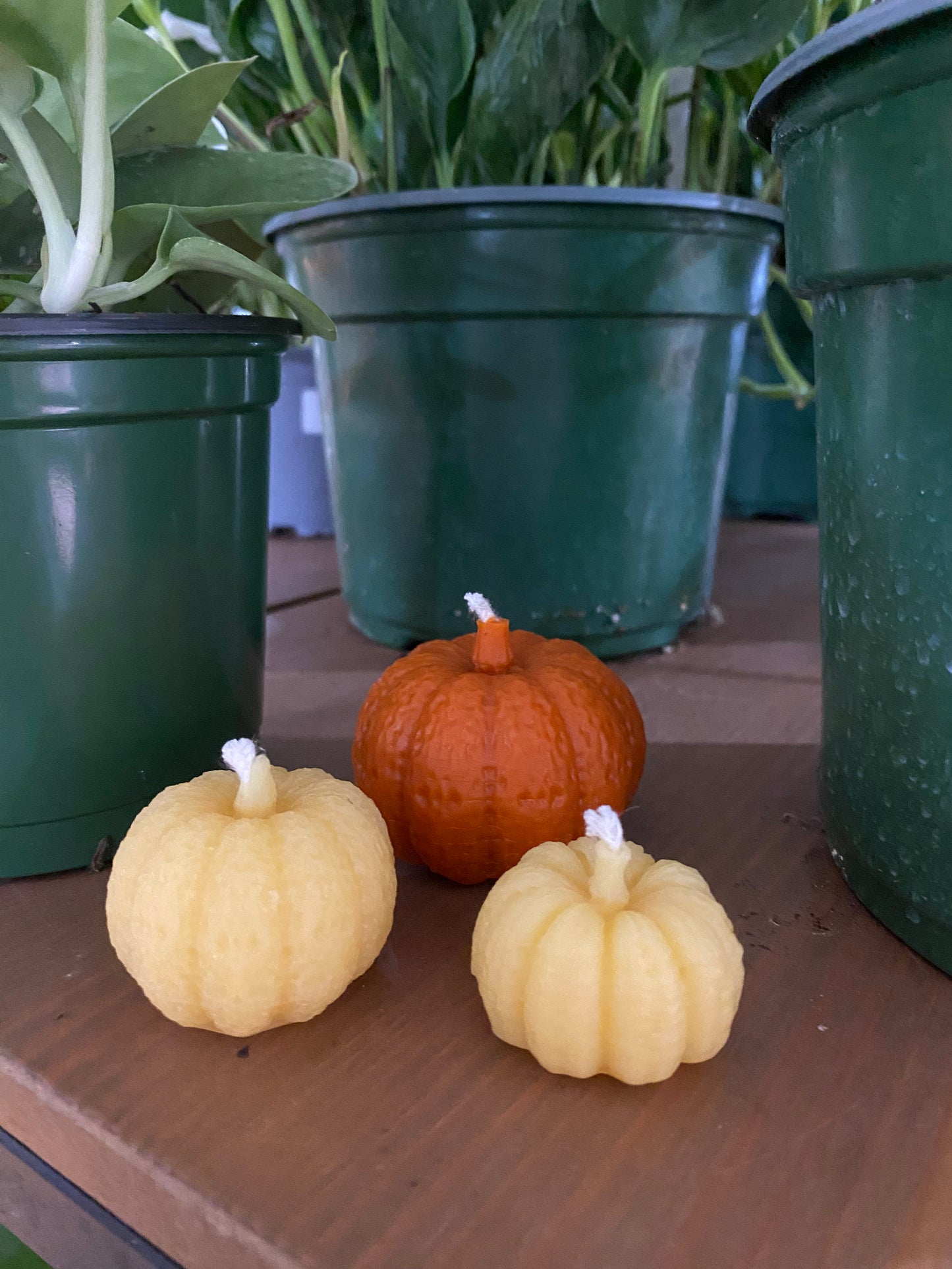 Beeswax Candles - Locally made