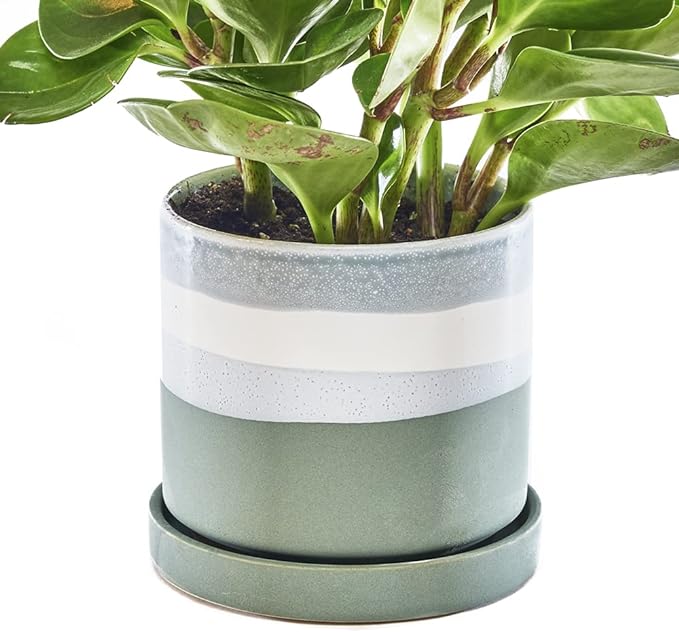 Big Minute Pot & Saucer