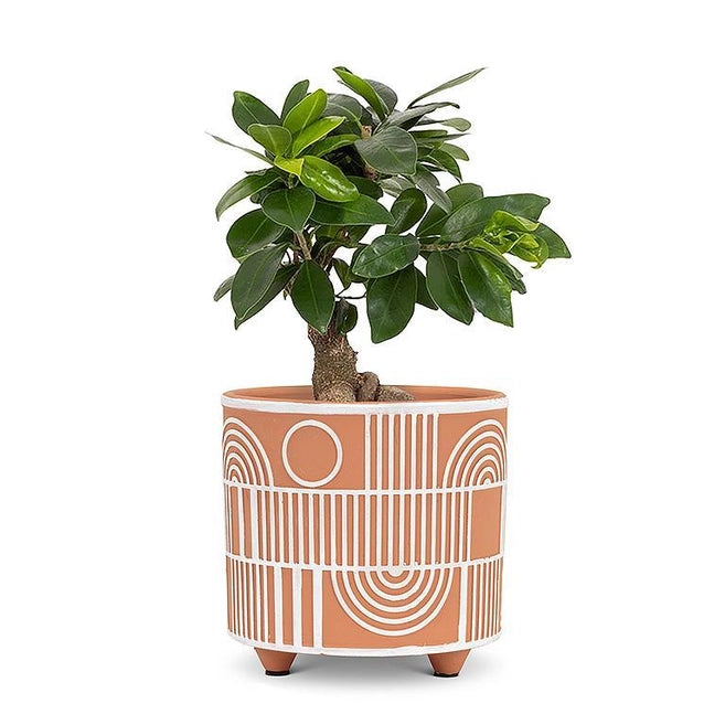 Small Arch & Line Planter - 4.5"D