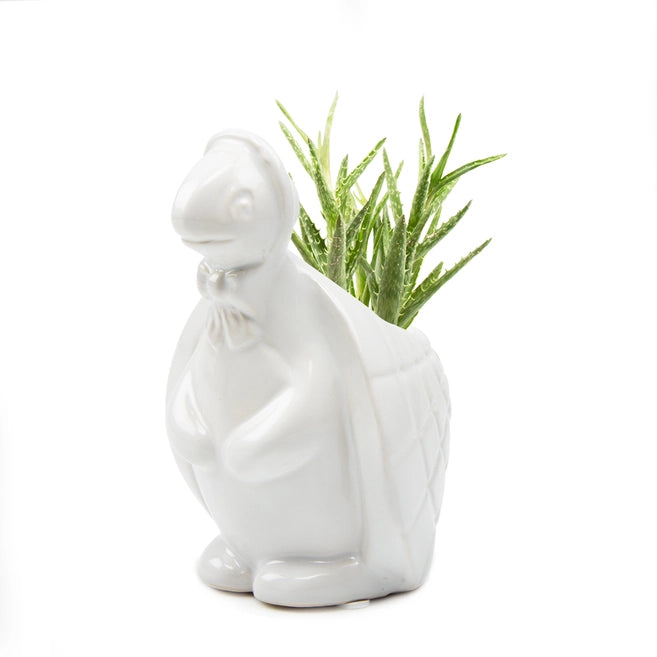 Ethel the Turtle Pot