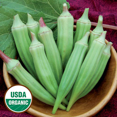Okra, Clemson Spineless Organic Seeds