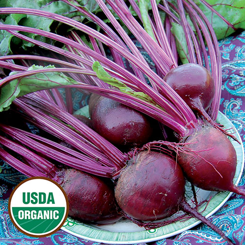 Beet, Detroit Dark Red Organic Seeds