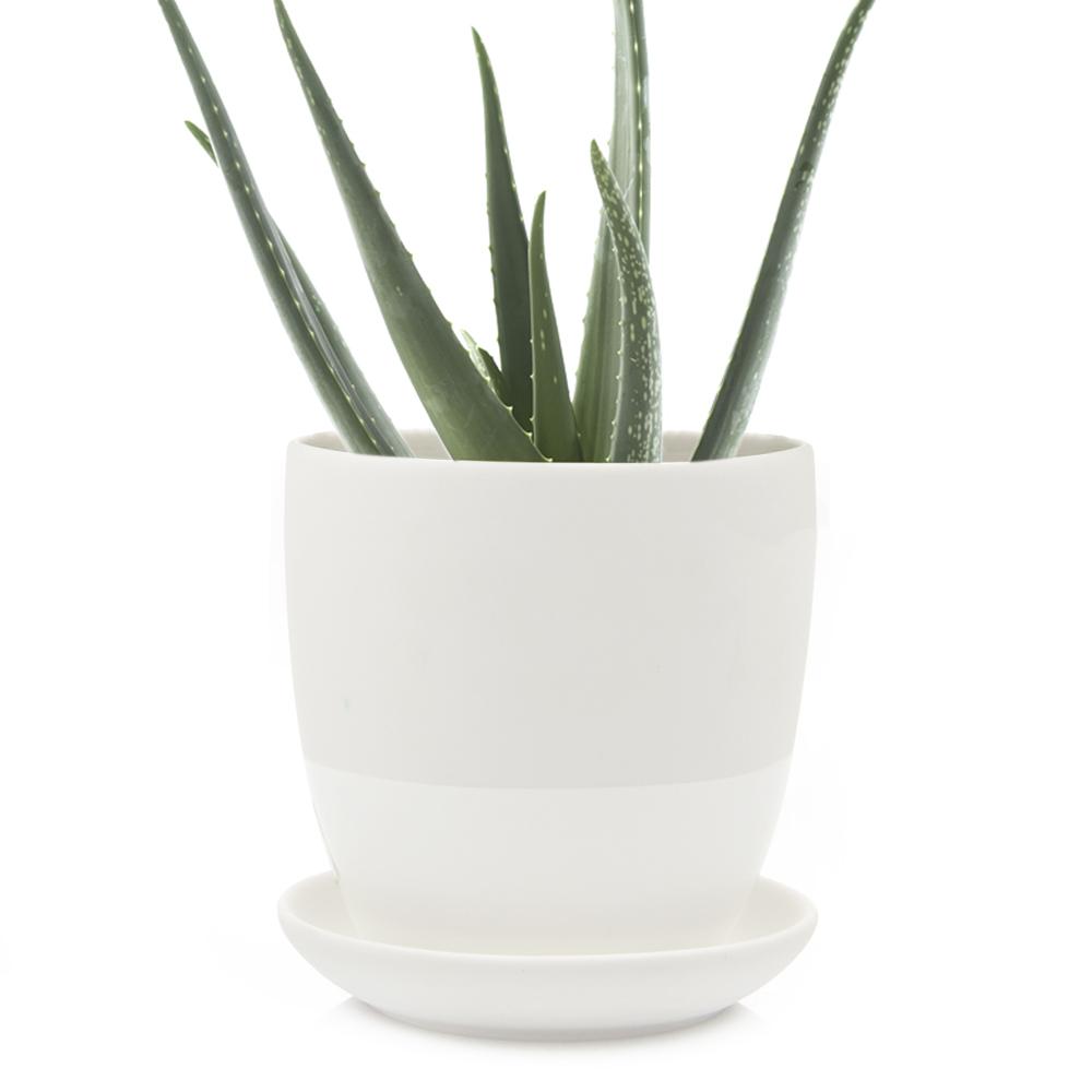 Big Dyad Pot & Saucer