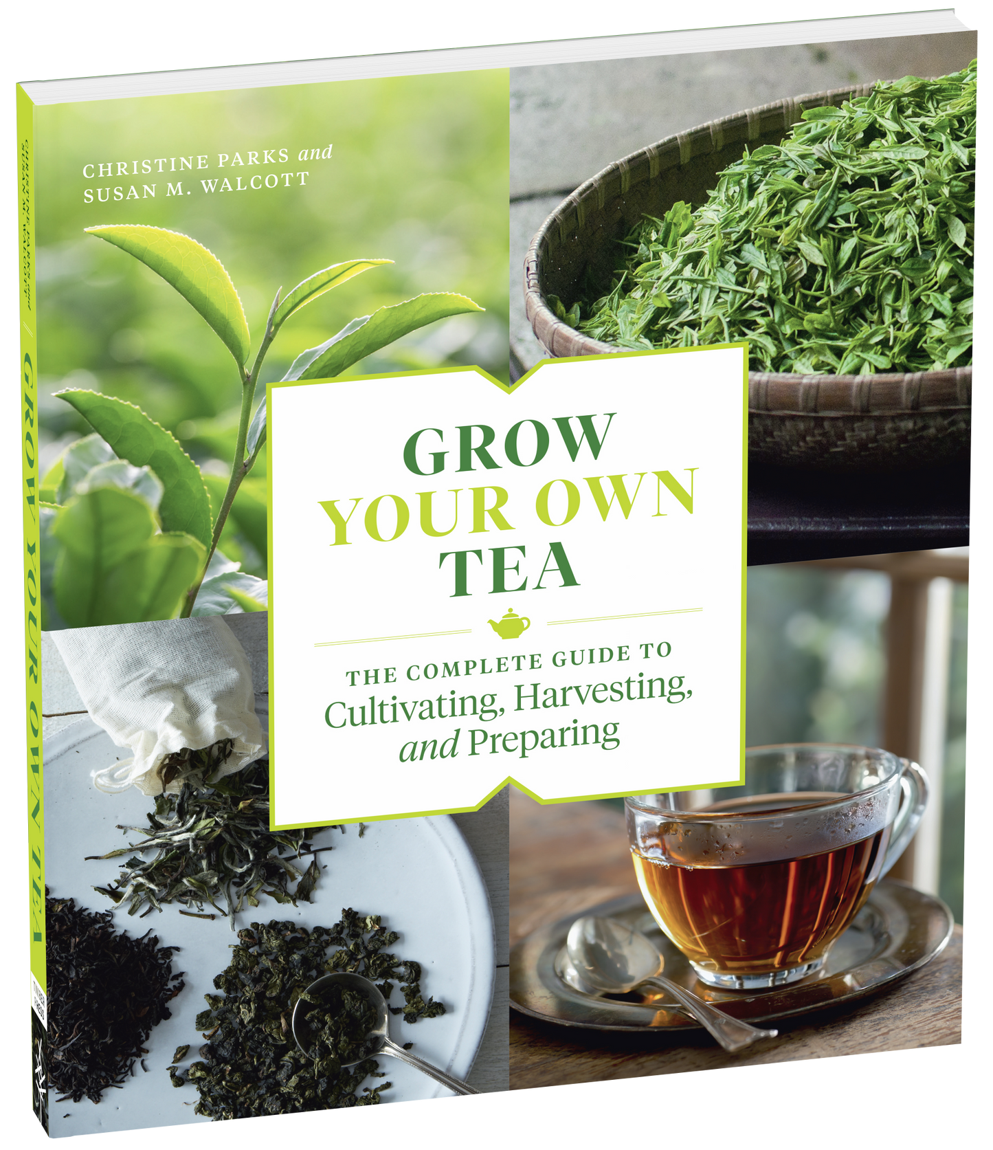 Grow Your Own Tea