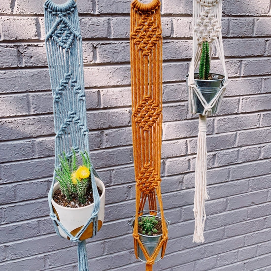 Macrame Wall Plant Hanger - Mustard