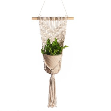 primitive planters plant hanger Primitive Planters Small Wall Planter – Snakeroot Botanicals