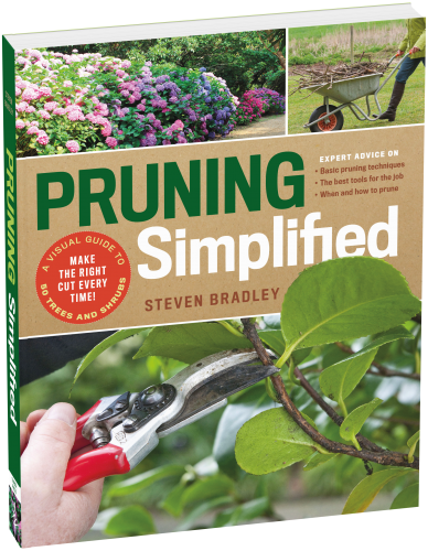 Pruning Simplified