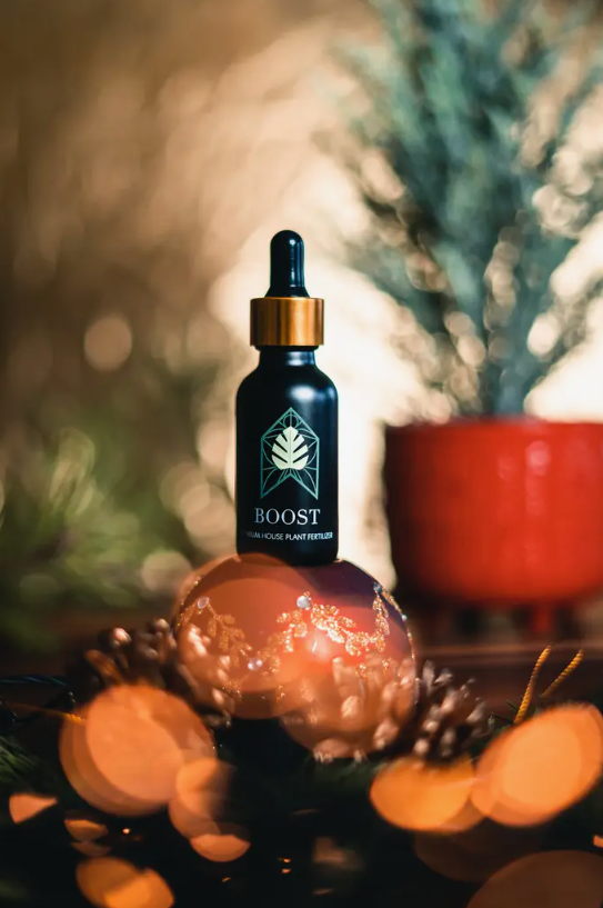 Premium House Plant Fertilizers