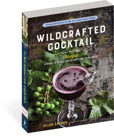 The Wildcrafted Cocktail