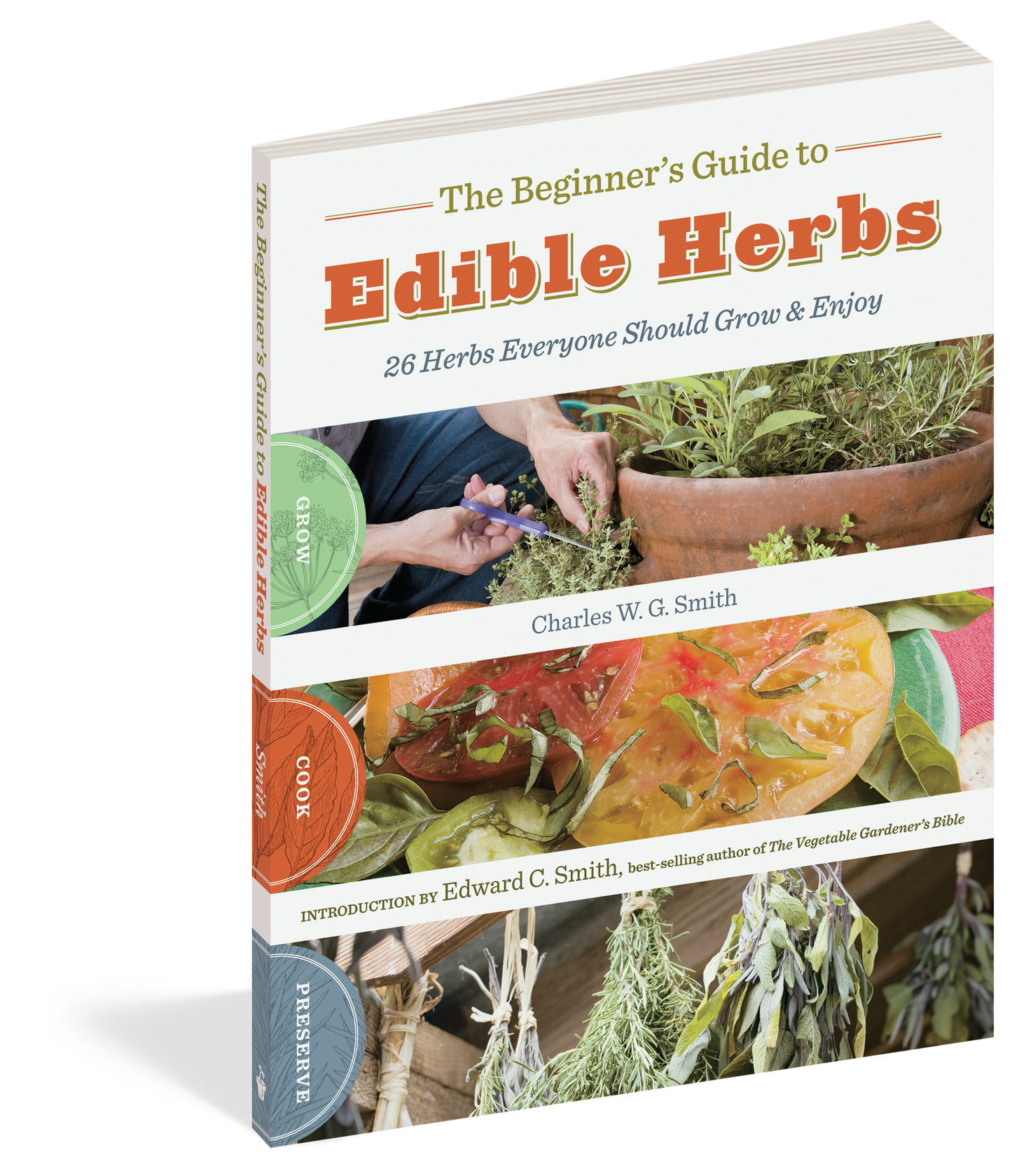 Beginner's Guide to Edible Herbs