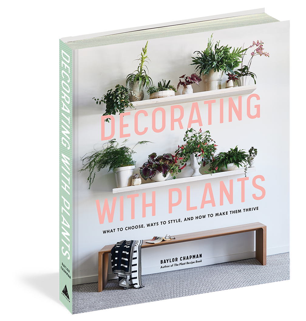 Decorating With Plants