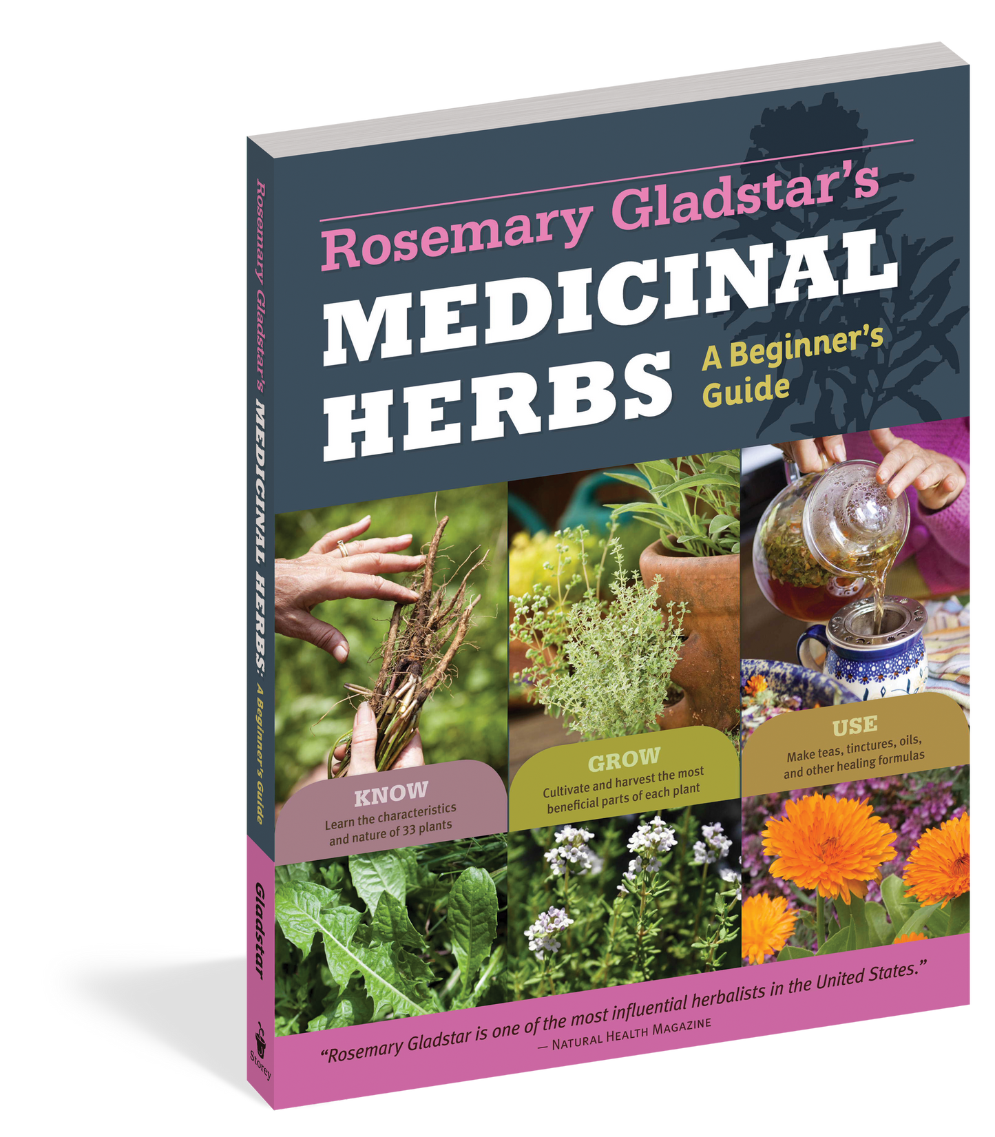 Rosemary Gladstar's Medicinal Herbs: A Beginner's Guide