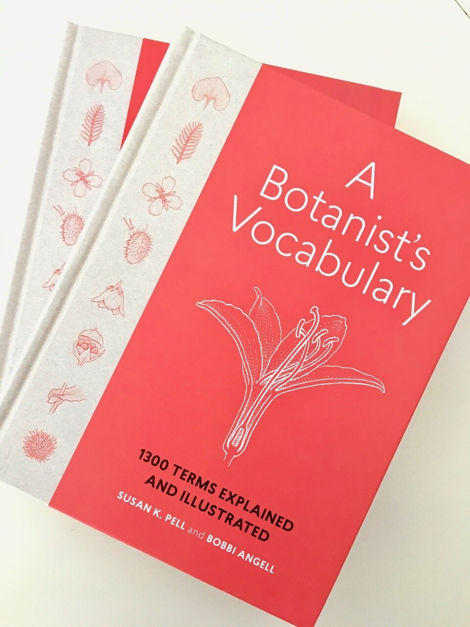A Botanist's Vocabulary