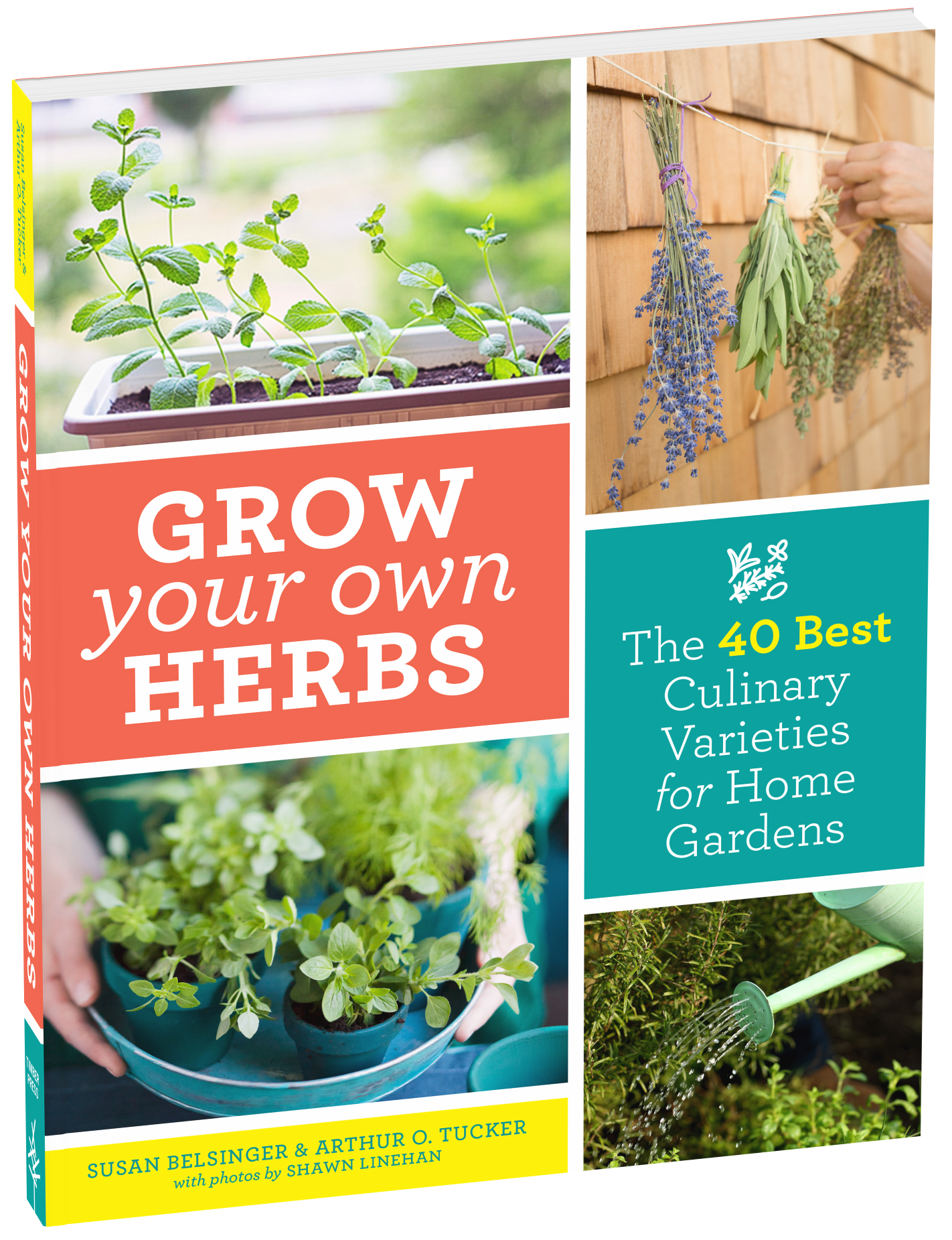 Grow Your Own Herbs