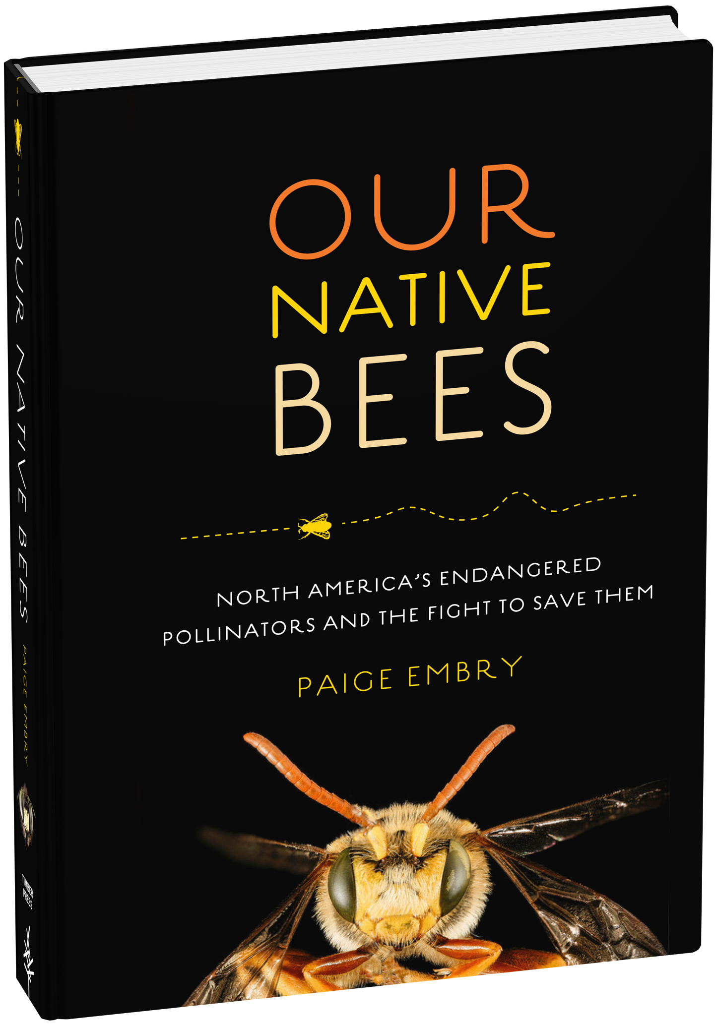 Our Native Bees
