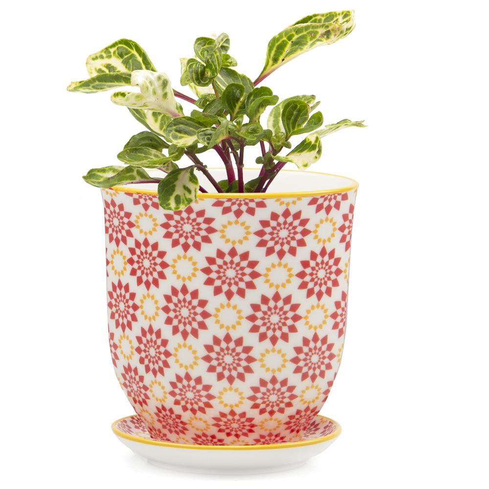 plant pots with drainage and saucer Big Liberte Pot With Saucer - Red Birds