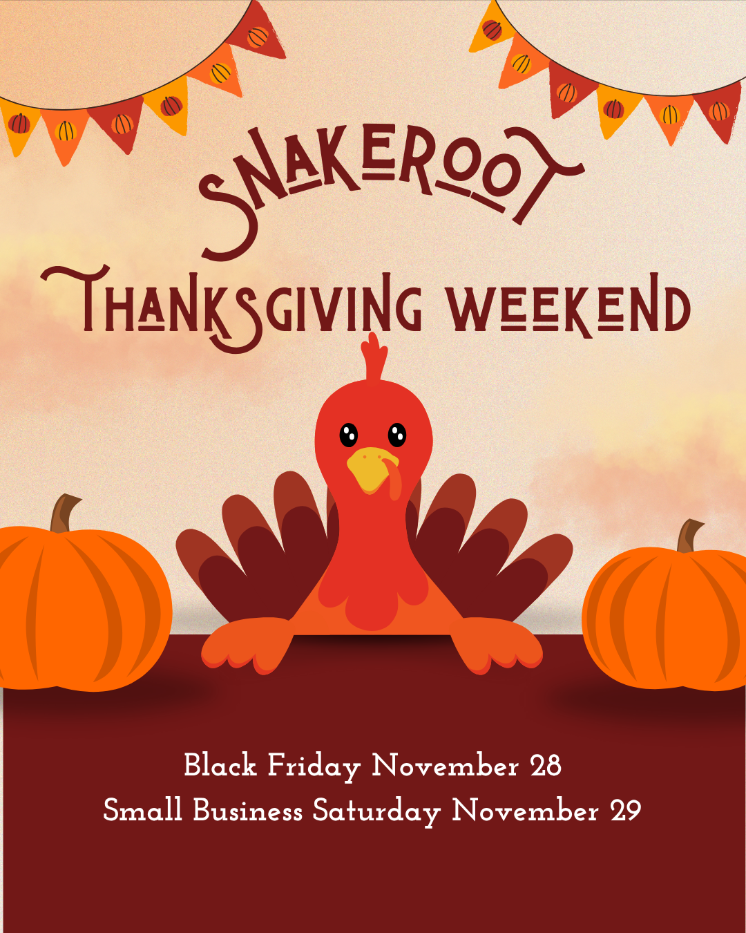 Black Friday & Small Business Saturday Sale