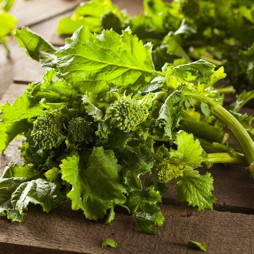 Broccoli Raab, Spring Rapini