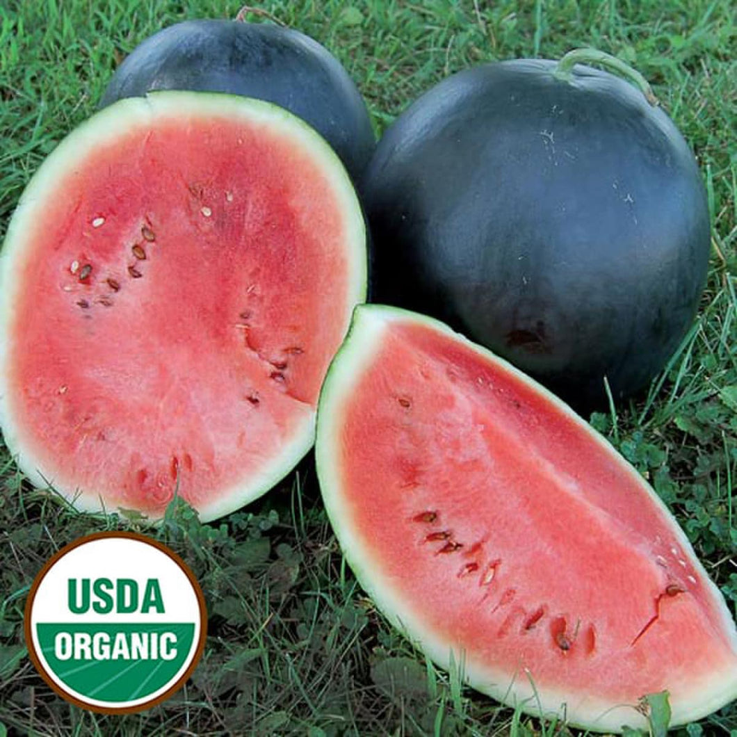 Watermelon, Blacktail Mountain Organic Seeds