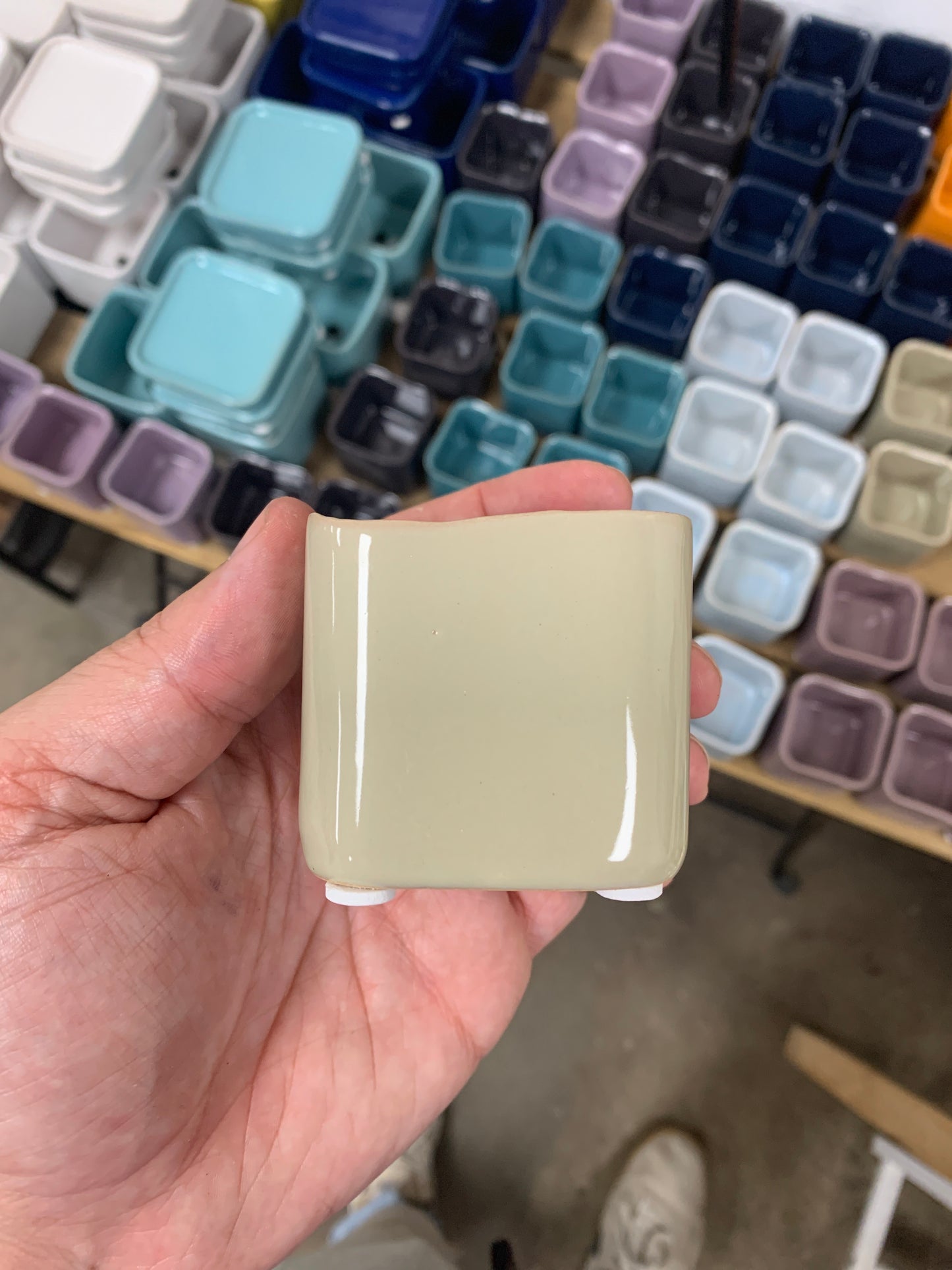 Svek Cube