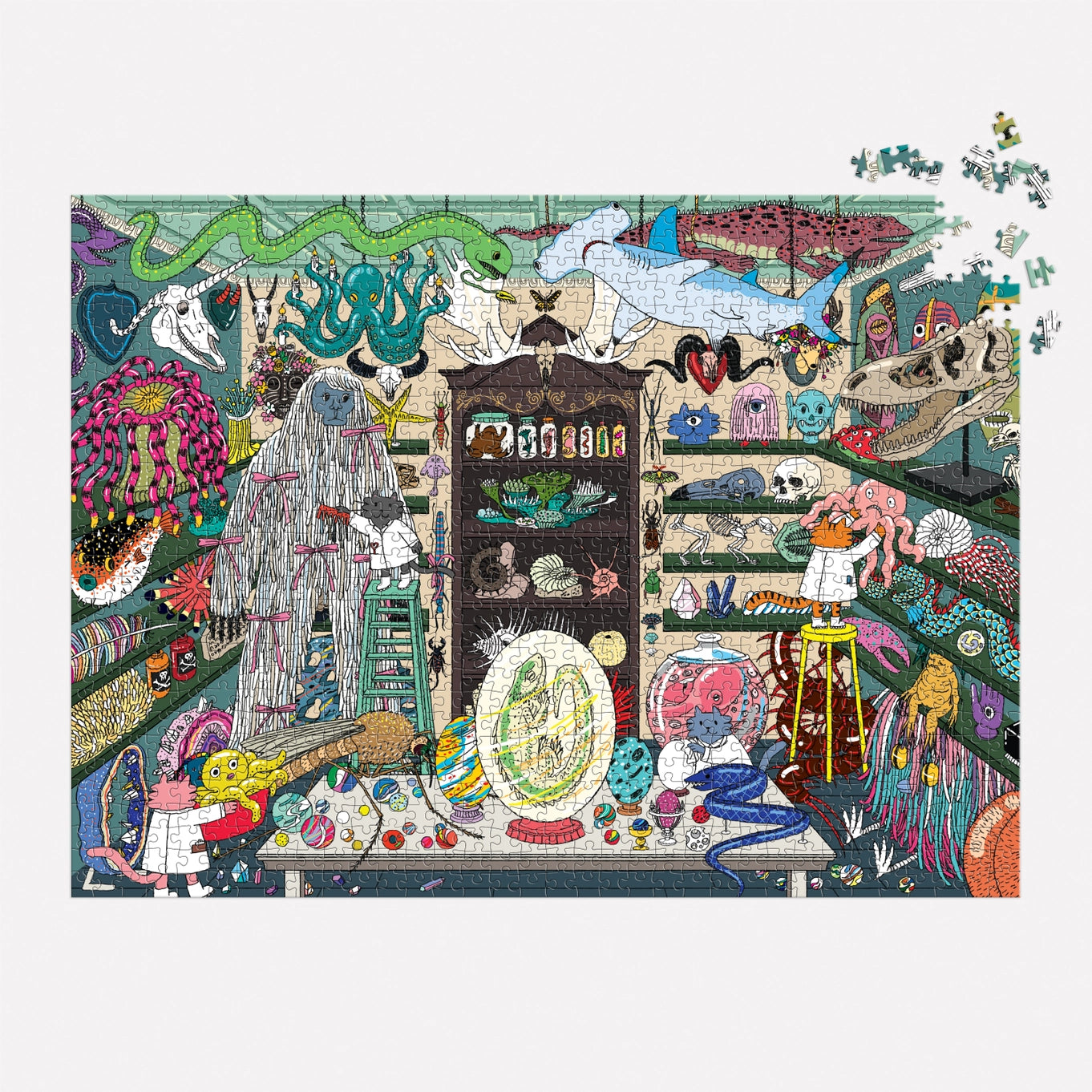 World Of Curiosities 1000 Piece Puzzle