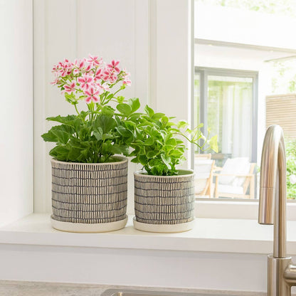Ivory Line Planter with Saucer