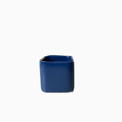 Svek Cube