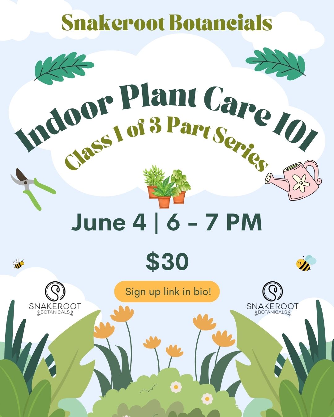 Class #1: Houseplant Basics: Indoor Plant Care 101