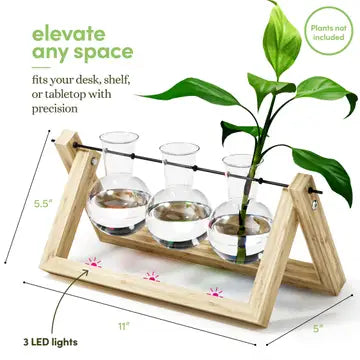 Light Up Bamboo Propagation Station