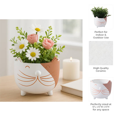 White Kitty Whiskers Planter