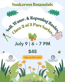 Class #2: Houseplant Basics: Soil, Water, & Repotting Basics