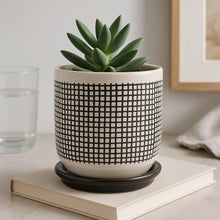 Gray Mesh Design Planter with Saucer 6"