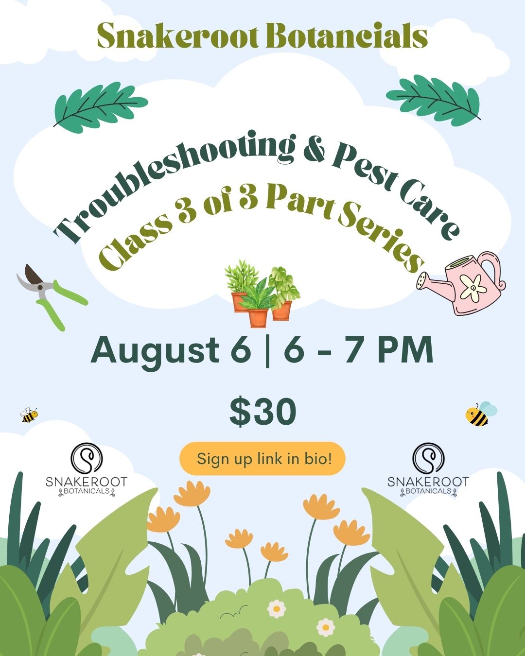 Class #3: Houseplant Basics: Troubleshooting & Pest Care