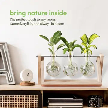 Light Up Bamboo Propagation Station