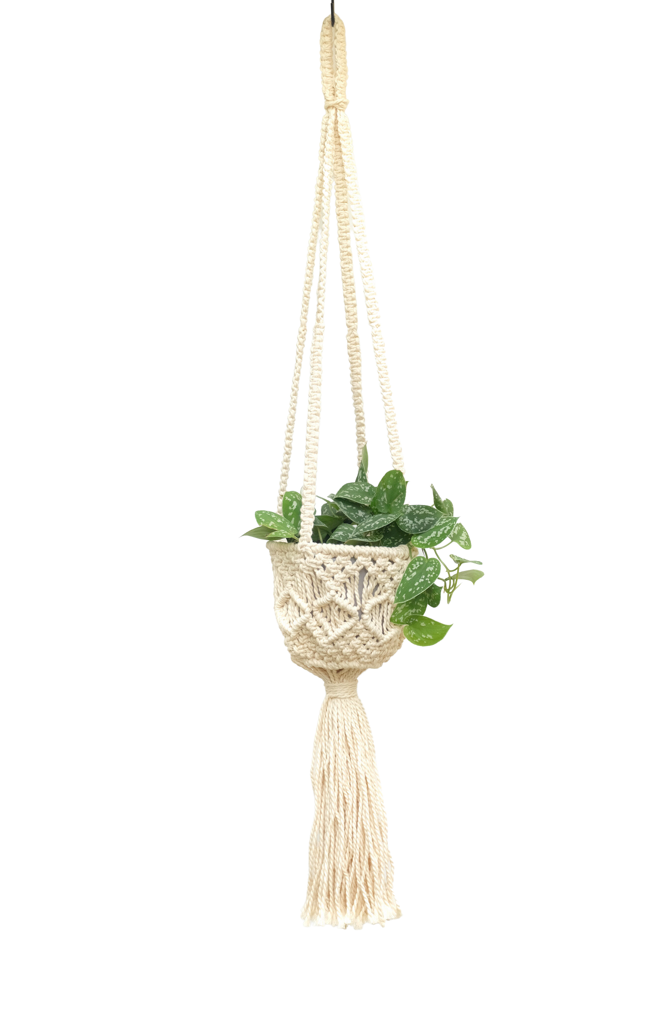 Handmade Macrame Cotton Plant Hanger - 39 in.