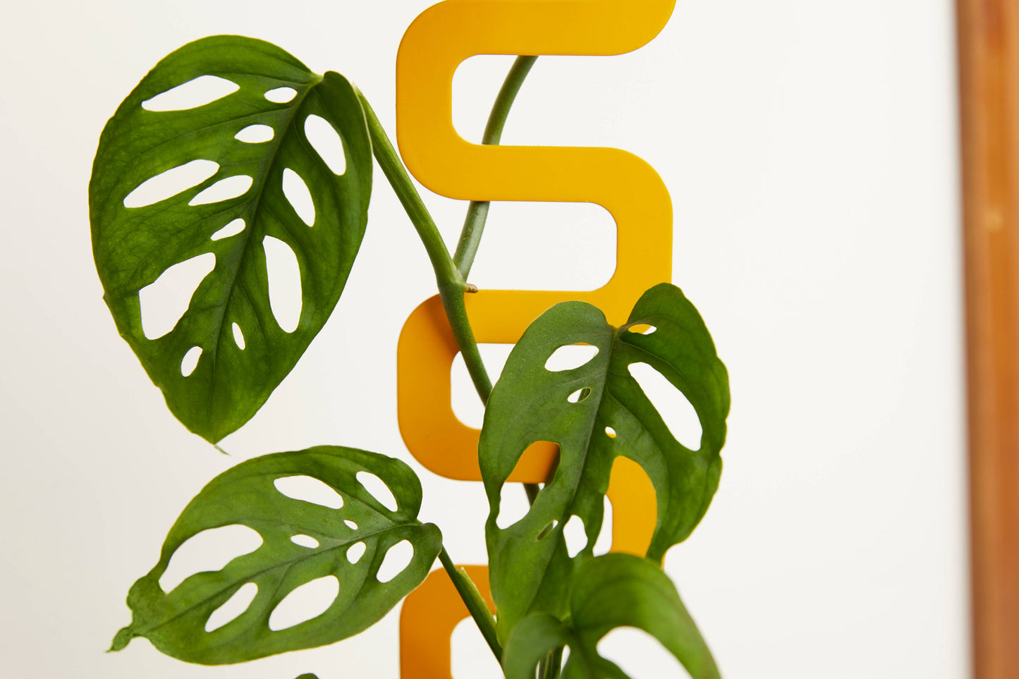 Metal Houseplant Grow Pole 11"