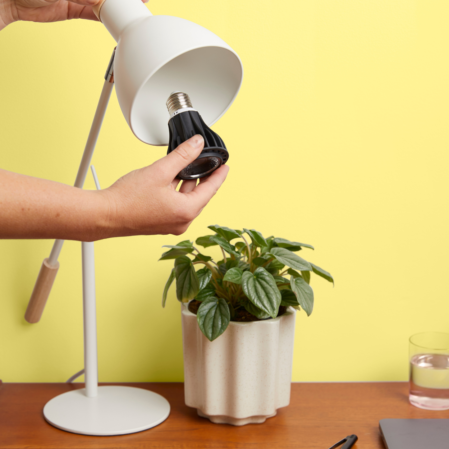 Instant Sun LED Grow Light Bulb 11W