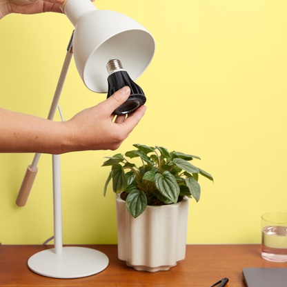 Instant Sun LED Grow Light Bulb 11W