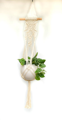 Macrame Cotton Plant Hanger - 27 in.