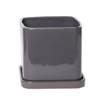 Svek Cube and Saucer