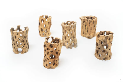 Natural Cholla Wood Container