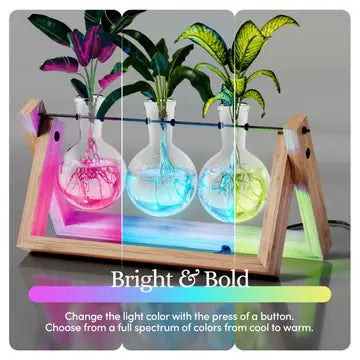 Light Up Bamboo Propagation Station