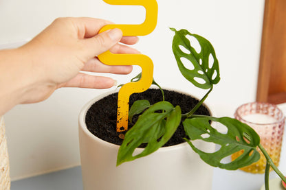 Metal Houseplant Grow Pole 11"